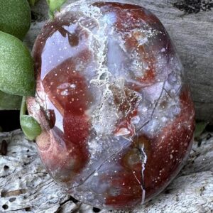 Mystical Ocean Jasper Palm Stone From Madagascar