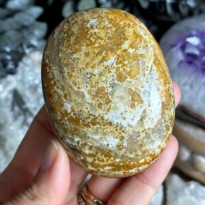 Ocean Jasper Palm Stone