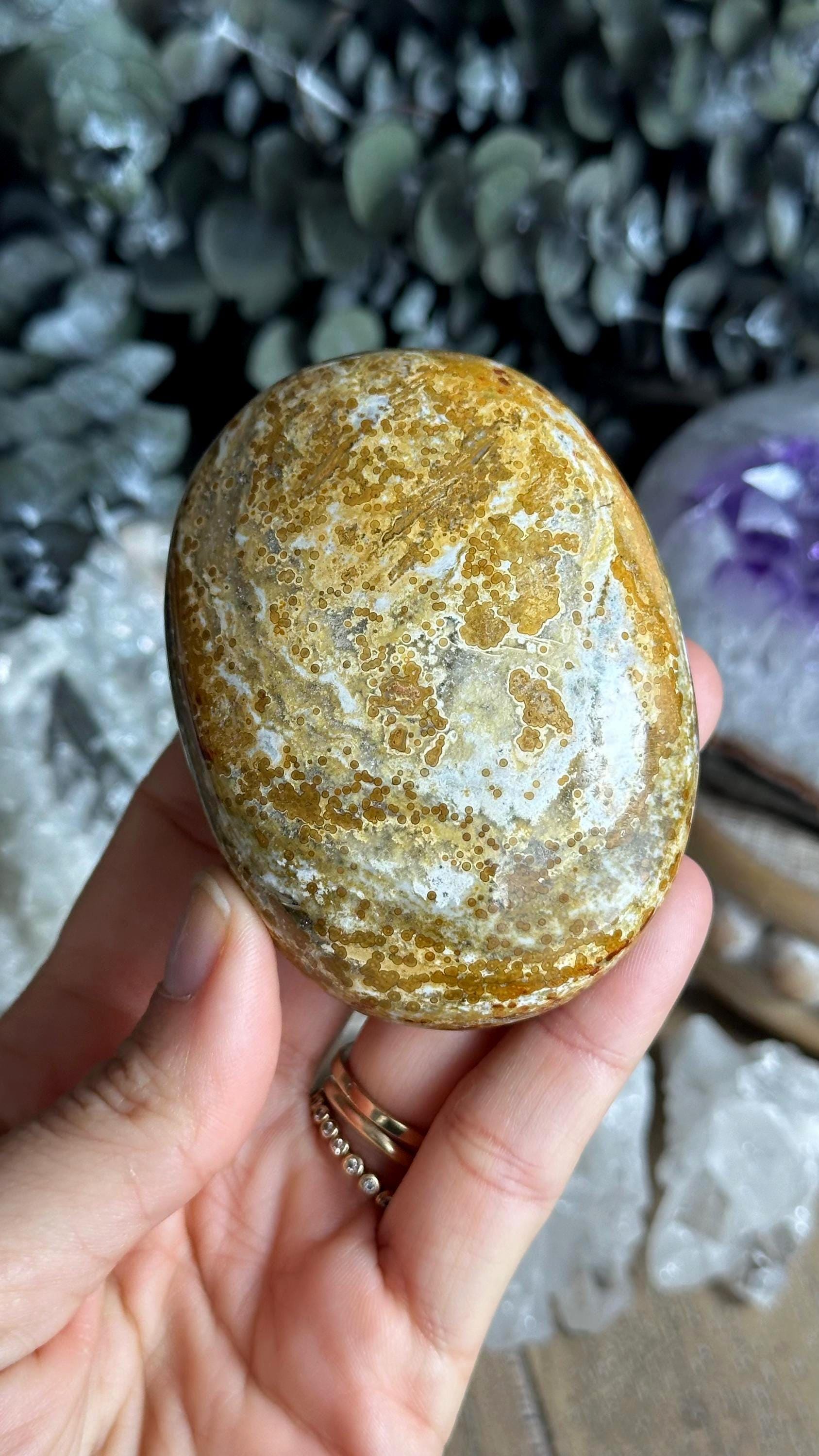 Ocean Jasper Palm Stone