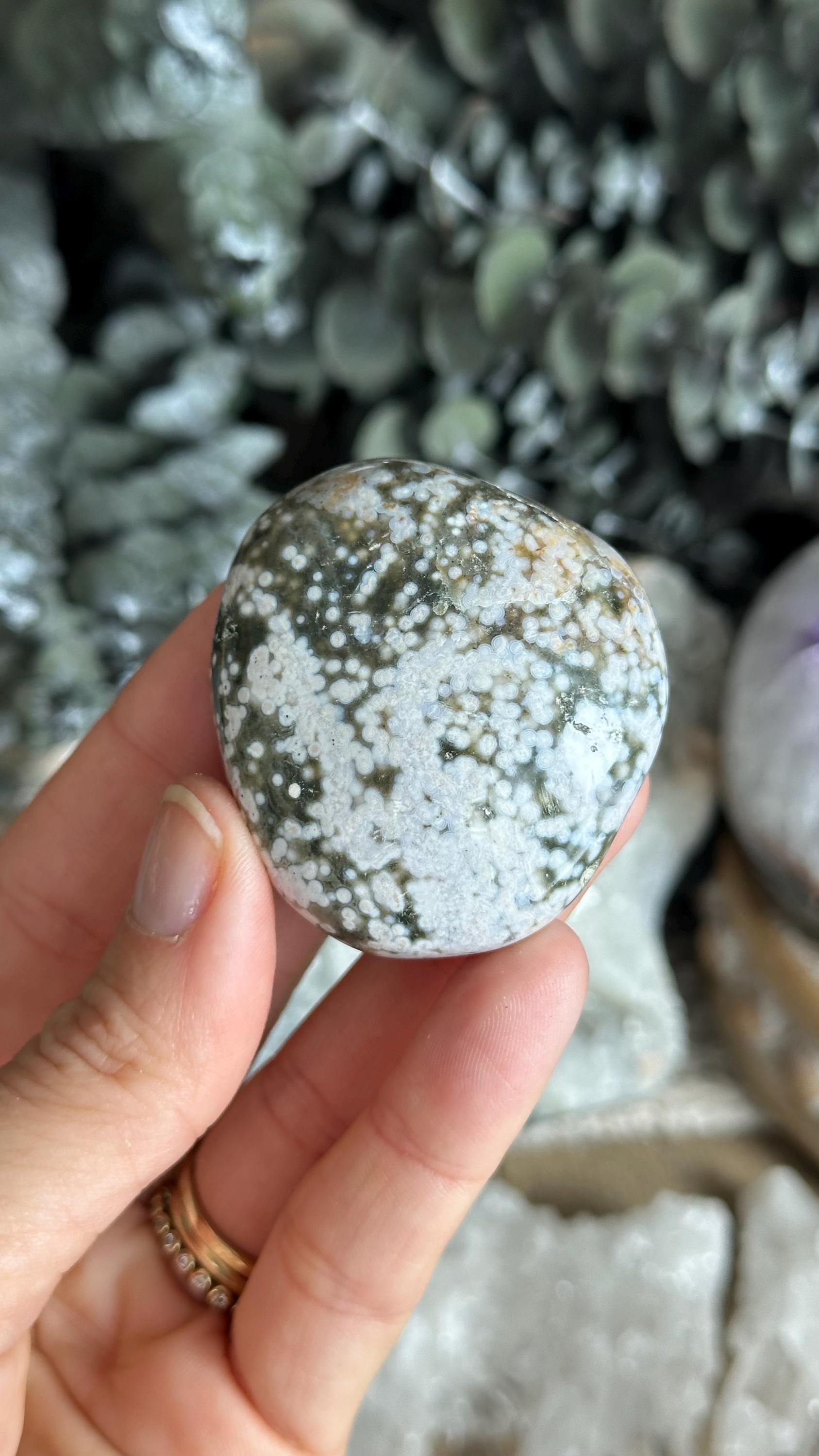 Ocean Jasper Palm Stone: Old Stock, 2"