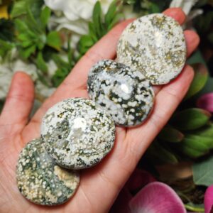 Ocean Jasper Palm Stone - Ocean Jasper - Ocean Jasper Palm - Ocean Jasper Crystal - Ocean Jasper Stone