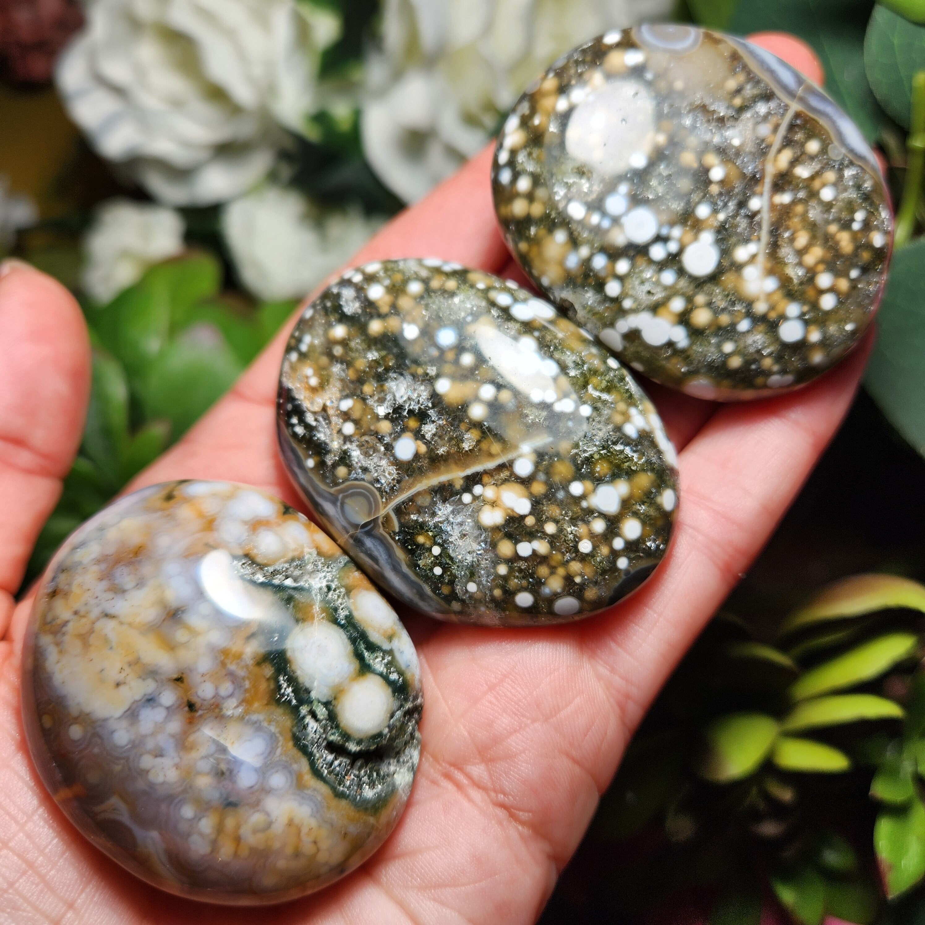 Ocean Jasper Palm Stone - Ocean Jasper - Fossilized Coral - Ocean Jasper Palmstone - Coral Fossil - Ocean Jasper Stone - Ocean Jasper Palm
