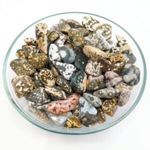 2 Ocean Jasper Mixed Small Size Tumbled Stones Orbicular Patterns (15gm) #lv1275