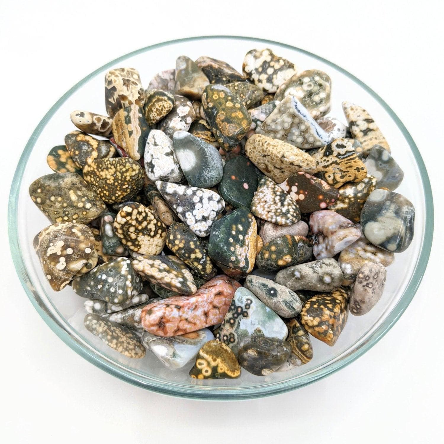 2 Ocean Jasper Mixed Small Size Tumbled Stones Orbicular Patterns (15gm) #lv1275 2 Ocean Jasper Mixed Small Size Tumbled Stones Orbicular Patterns (15gm) #lv1275