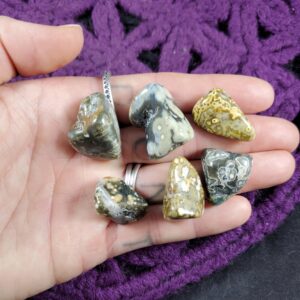 6 Ocean Jasper Tumbled Small Stones Green White Crystal Pocket Stone Gridding Crystals Unique Orbicular A+ bulk wholesale Madagascar