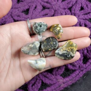 6 Ocean Jasper Tumbled Small Stones Green White Crystal Pocket Stone Gridding Crystals Unique Orbicular A+ bulk wholesale Madagascar