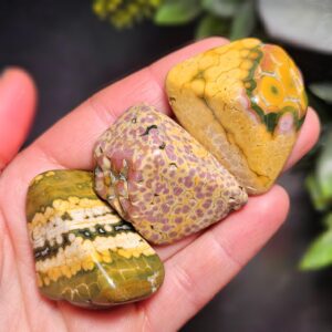 Orbicular Ocean Jasper Tumbled Stone, Natural Polished Kabamby Ocean Jasper Crystal From Madagascar