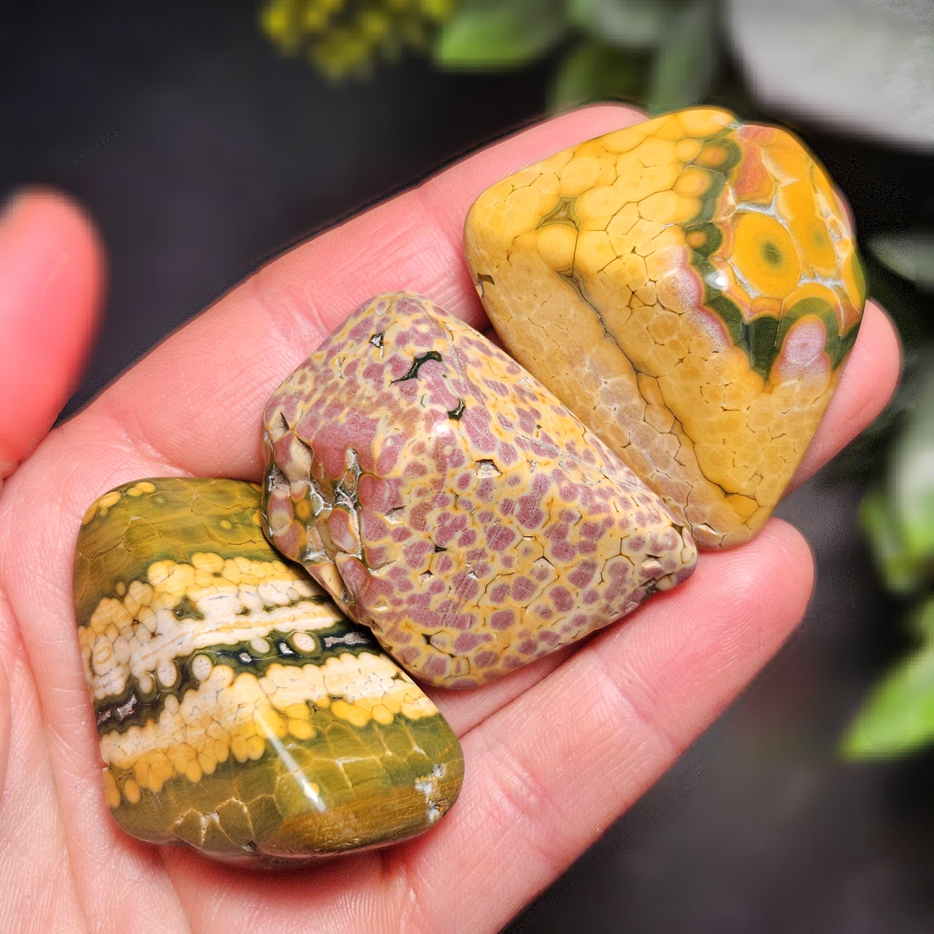 Orbicular Ocean Jasper Tumbled Stone, Natural Polished Kabamby Ocean Jasper Crystal From Madagascar