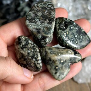 Tumbled Ocean Jasper Stone: Chakra Healing Crystal