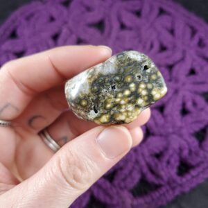 Ocean Jasper Tumbled Stone Gallet Crystal Pocket Stones Green Yellow Crystals Unique Orbicular A+ high quality Madagascar