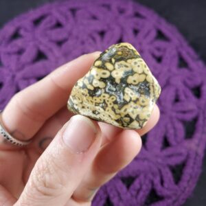 Ocean Jasper Tumbled Stone Gallet Crystal Pocket Stones Crystals Unique Orbicular A+ high quality Madagascar