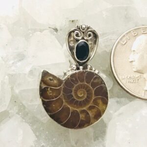 Ammonite and Black Onyx Pendant Necklace Ammonite and Black Onyx Pendant Necklace