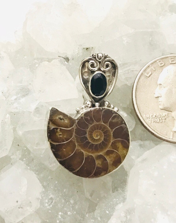 Ammonite And Black Onyx Pendant