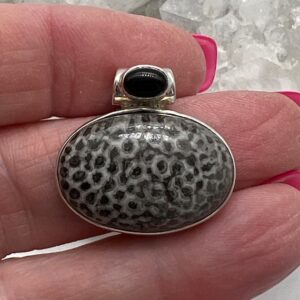 Stingray Coral and Black Onyx Pendant Stingray Coral and Black Onyx Pendant