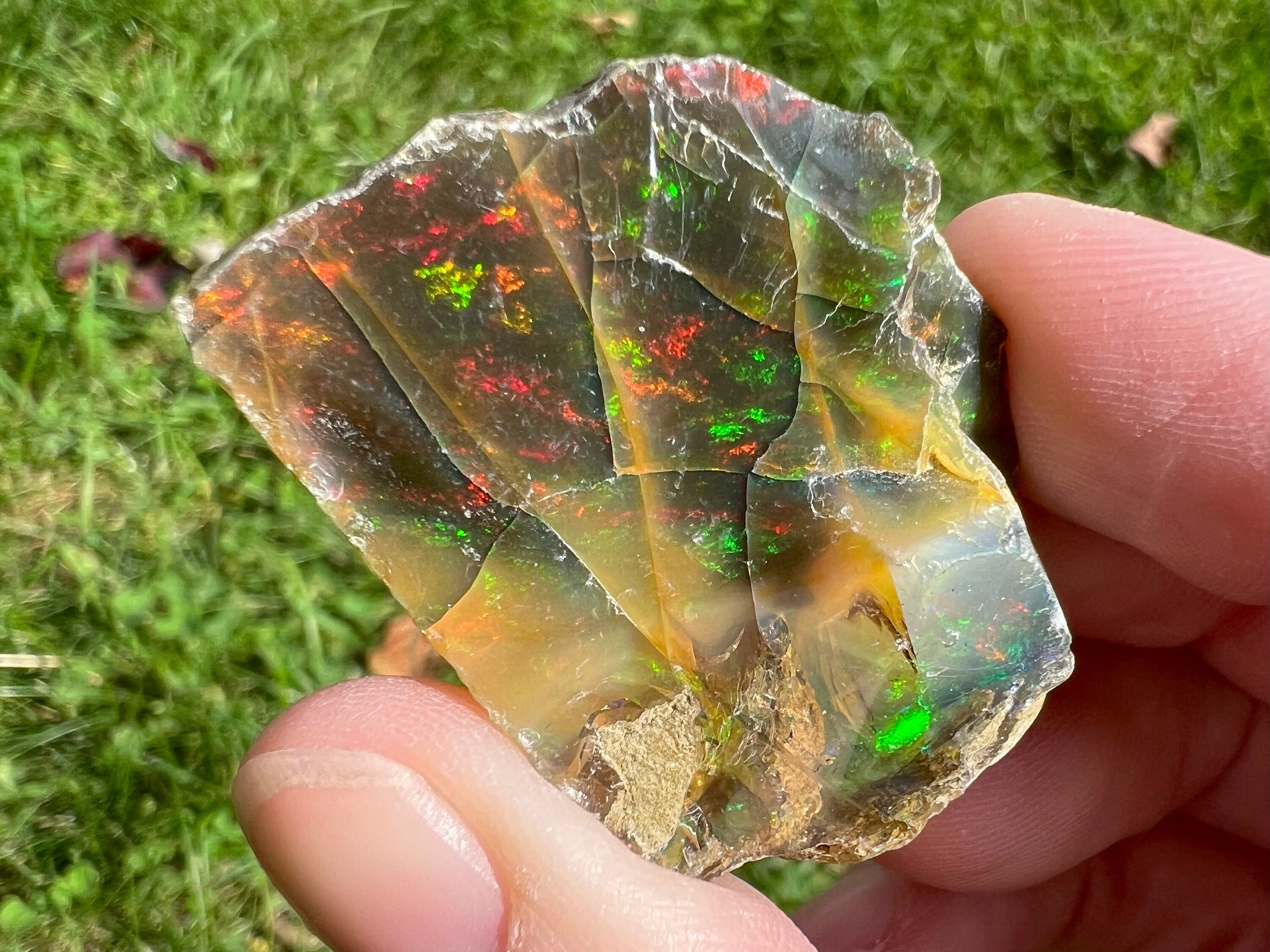 Large Raw Ethiopian Black Welo Opal, Rainbow Flash Crystal, October Birthstone #299
