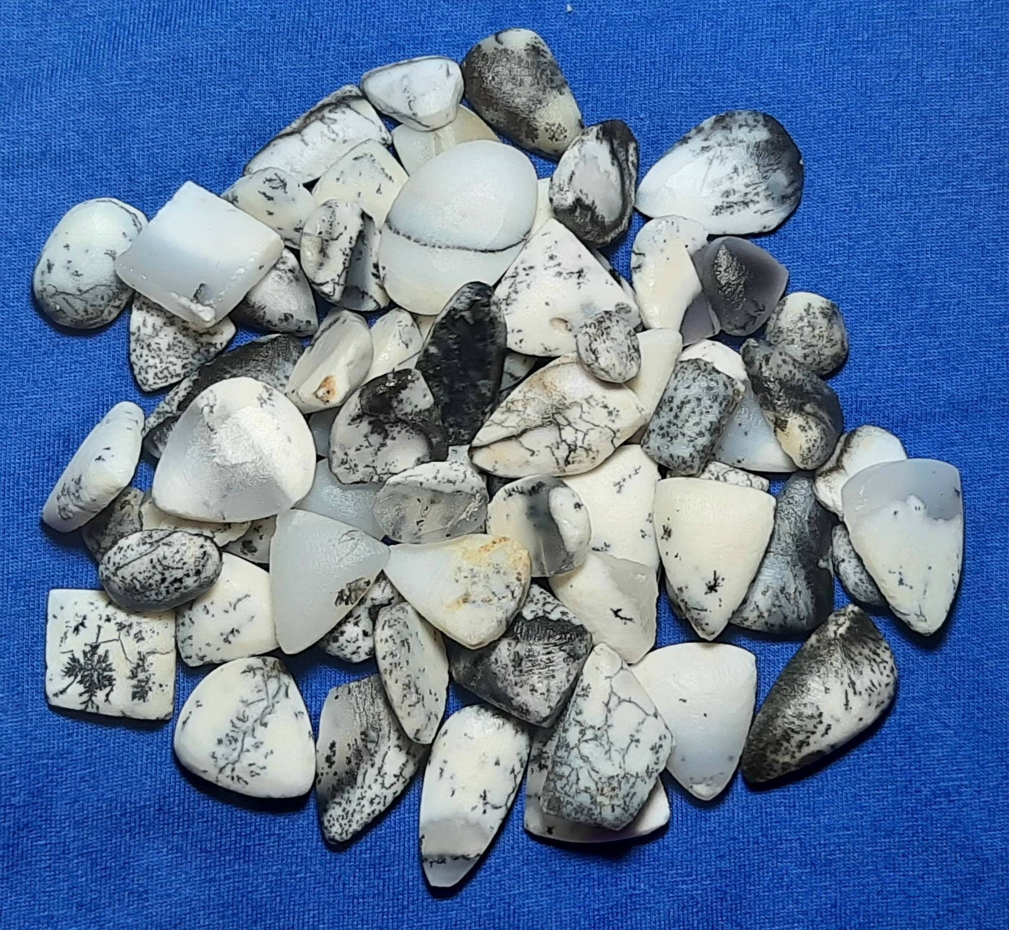 Natural Dendritic Opal Rough Gemstone: Raw Opal Slices