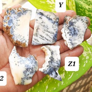 Natural Dendritic Opal Rough Gemstone,dendritic Opal Raw Slices,dendritic Opal Slab,healing Dendritic Opal Specimen,dendritic Opal Crystal Natural Dendritic Opal Rough Gemstone,dendritic Opal Raw Slices,dendritic Opal Slab,healing Dendritic Opal Specimen,dendritic Opal Crystal