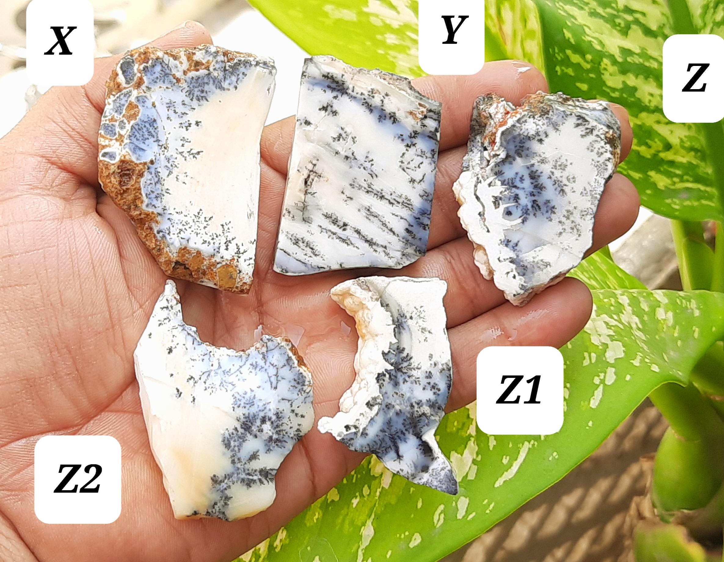 Natural Dendritic Opal Rough Gemstone,dendritic Opal Raw Slices,dendritic Opal Slab,healing Dendritic Opal Specimen,dendritic Opal Crystal