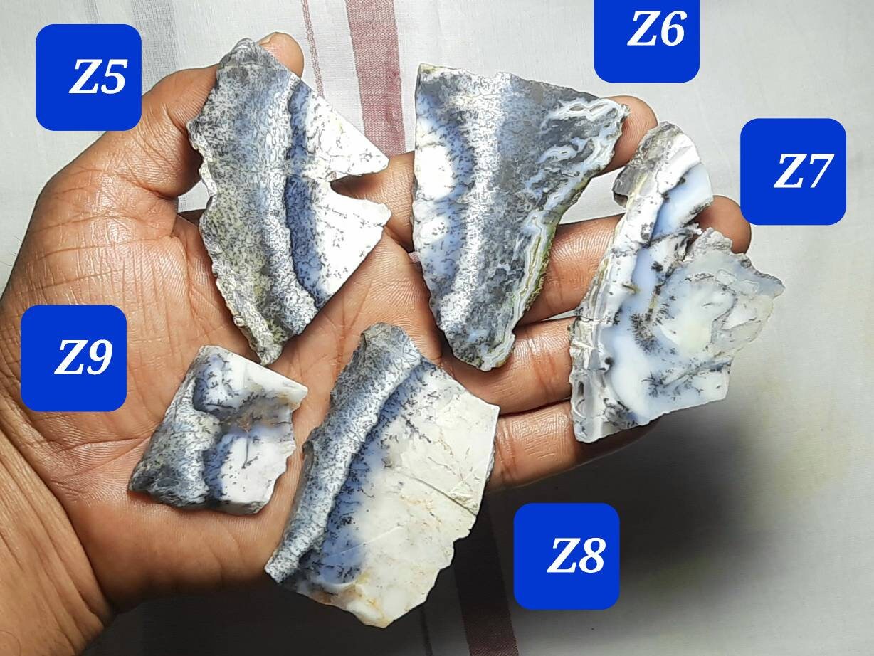 Natural Dendritic Opal Rough: Unpolished Slices & Specimens