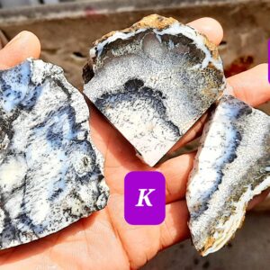 Natural Dendritic Opal Rough: Unpolished Slices, Slabs, Specimens Natural Dendritic Opal Rough: Unpolished Slices, Slabs, Specimens