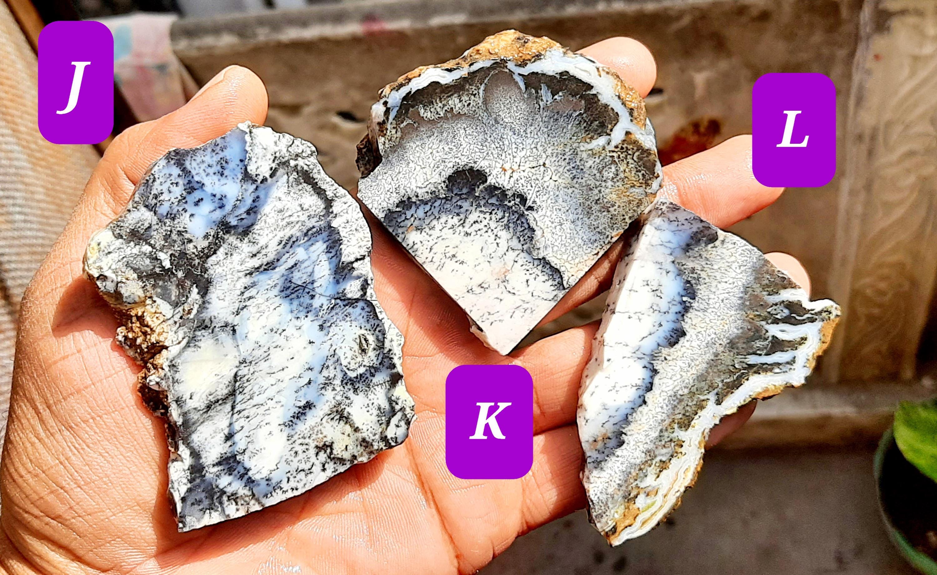 Natural Dendritic Opal Rough: Unpolished Slices, Slabs, Specimens