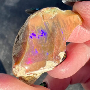 Rough Ethiopian Chocolate Opal, Honeycomb Pattern, Raw Crystal, Collectors Piece #273 Rough Ethiopian Chocolate Opal, Honeycomb Pattern, Raw Crystal, Collectors Piece #273