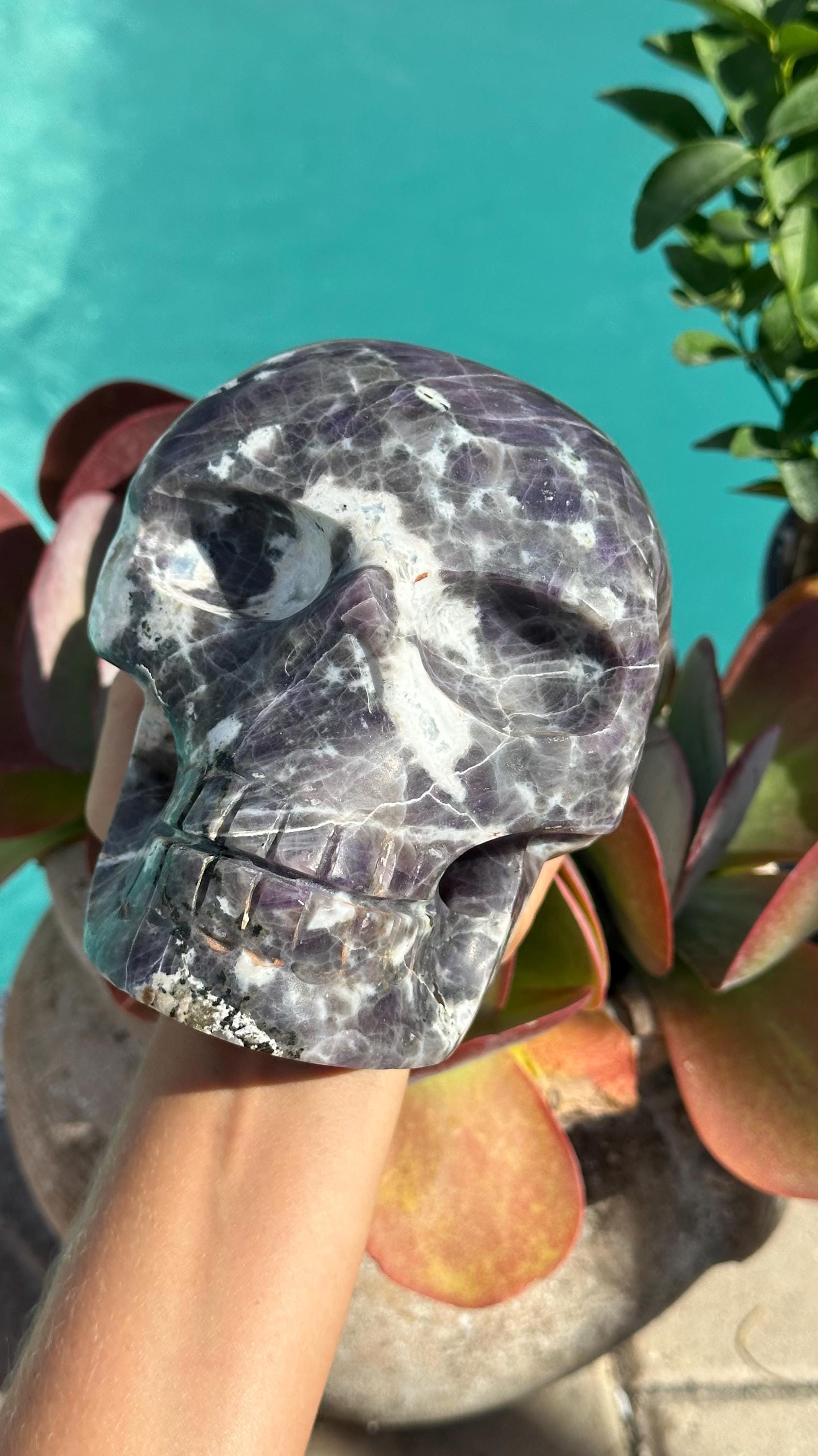 Giant Morado Opal Skull, Large, Big Crystal Skull