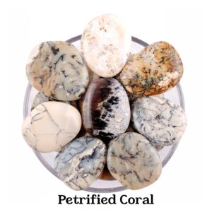 Opal Palm Stone, Polished Worry Stone, Emotional Healing And Peace Meditation Crystal