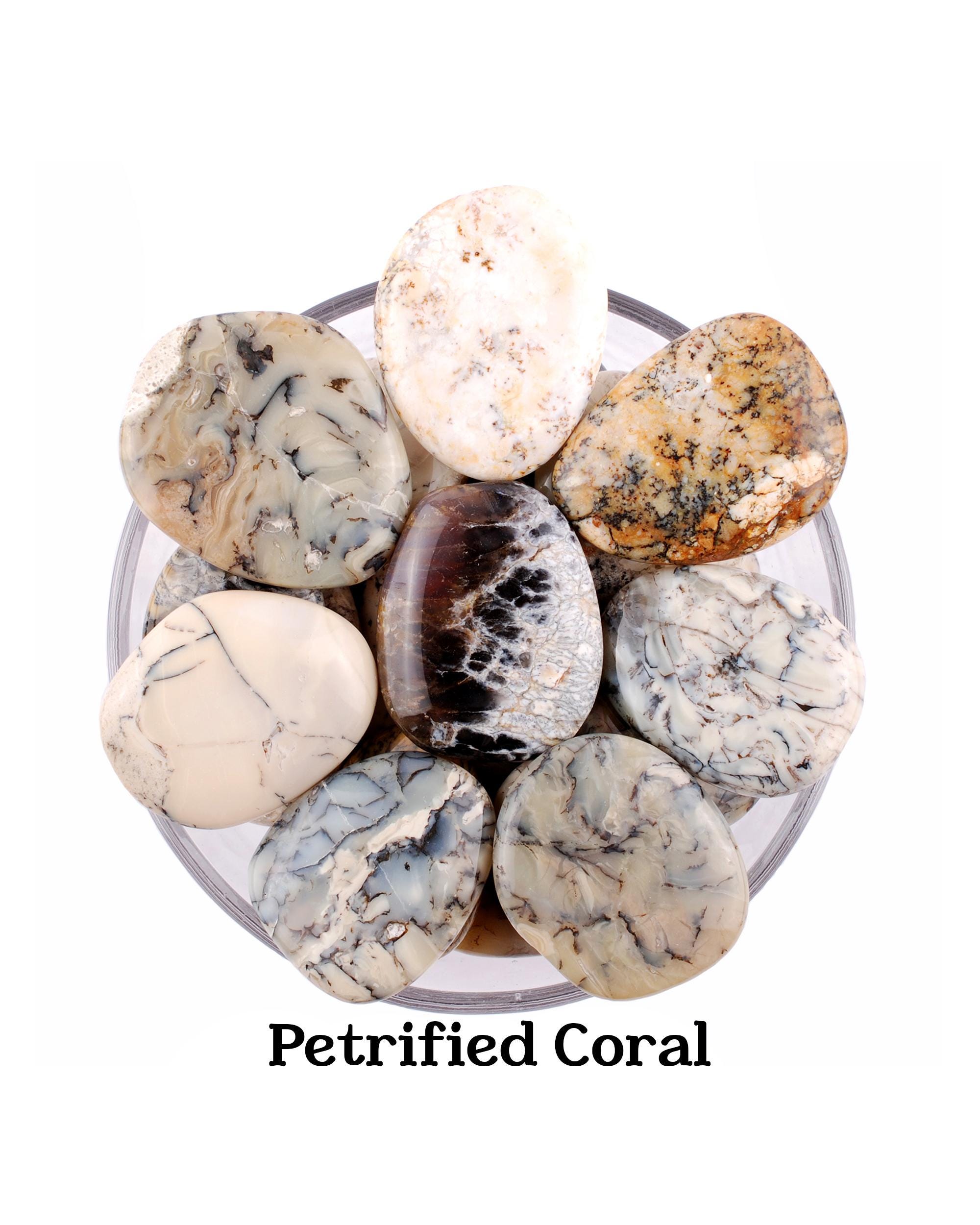 Opal Palm Stone, Polished Worry Stone, Emotional Healing And Peace Meditation Crystal