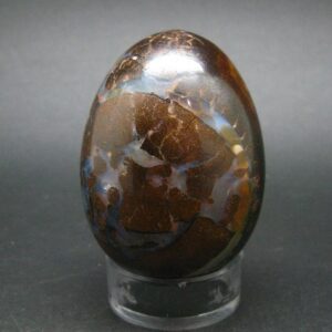 Super Rare Boulder Opal Egg From Australia - 2.3" - 145.2 Grams