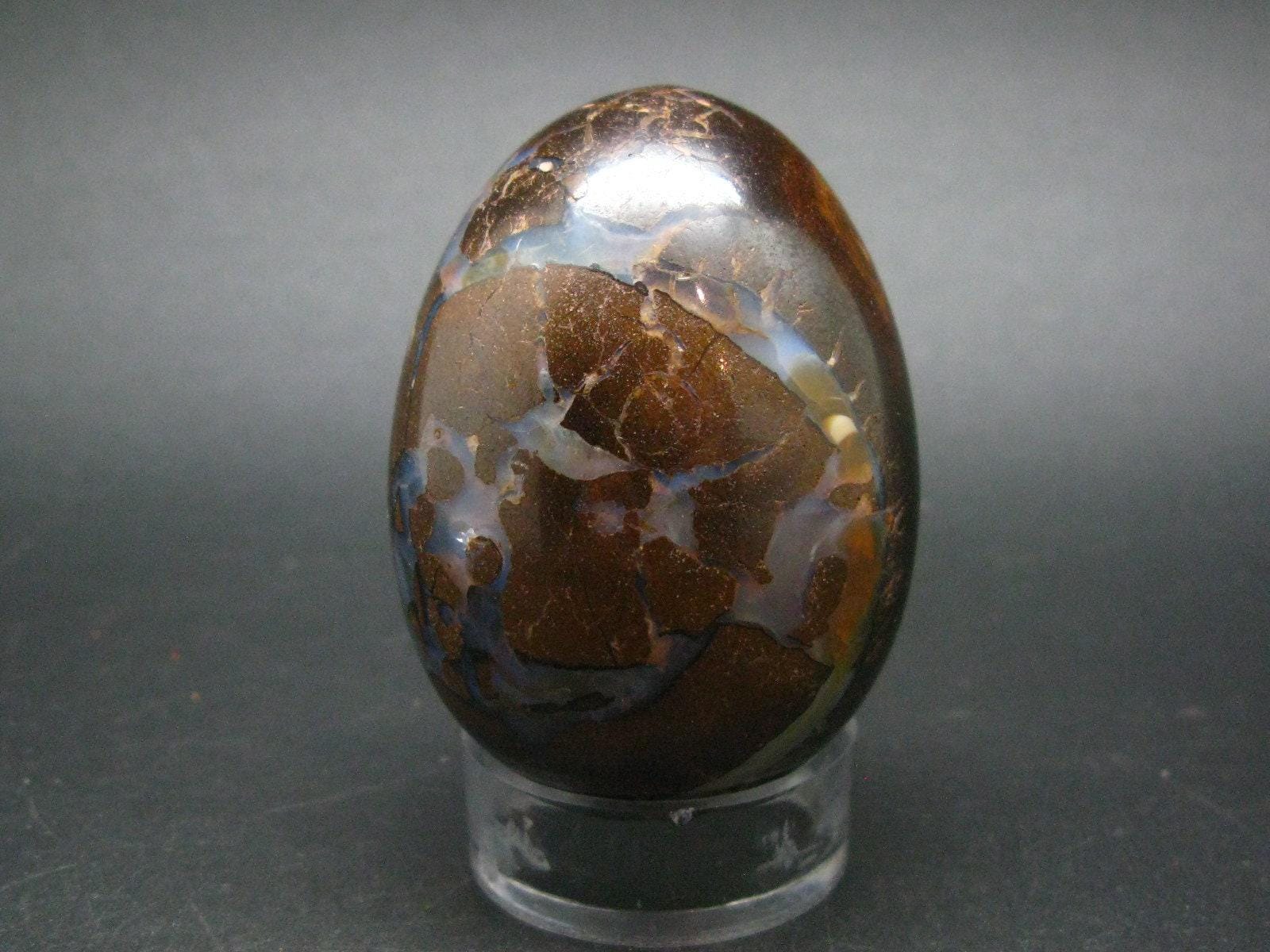 Super Rare Boulder Opal Egg From Australia - 2.3" - 145.2 Grams