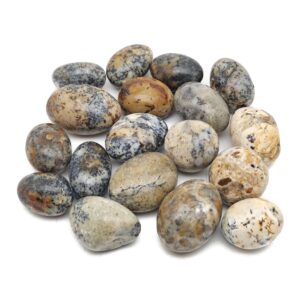 Cheetah Opal Tumbled Stone - Mexican Opal Crystals - Loose Stone - Love Opal – Healing Stones - TU1334