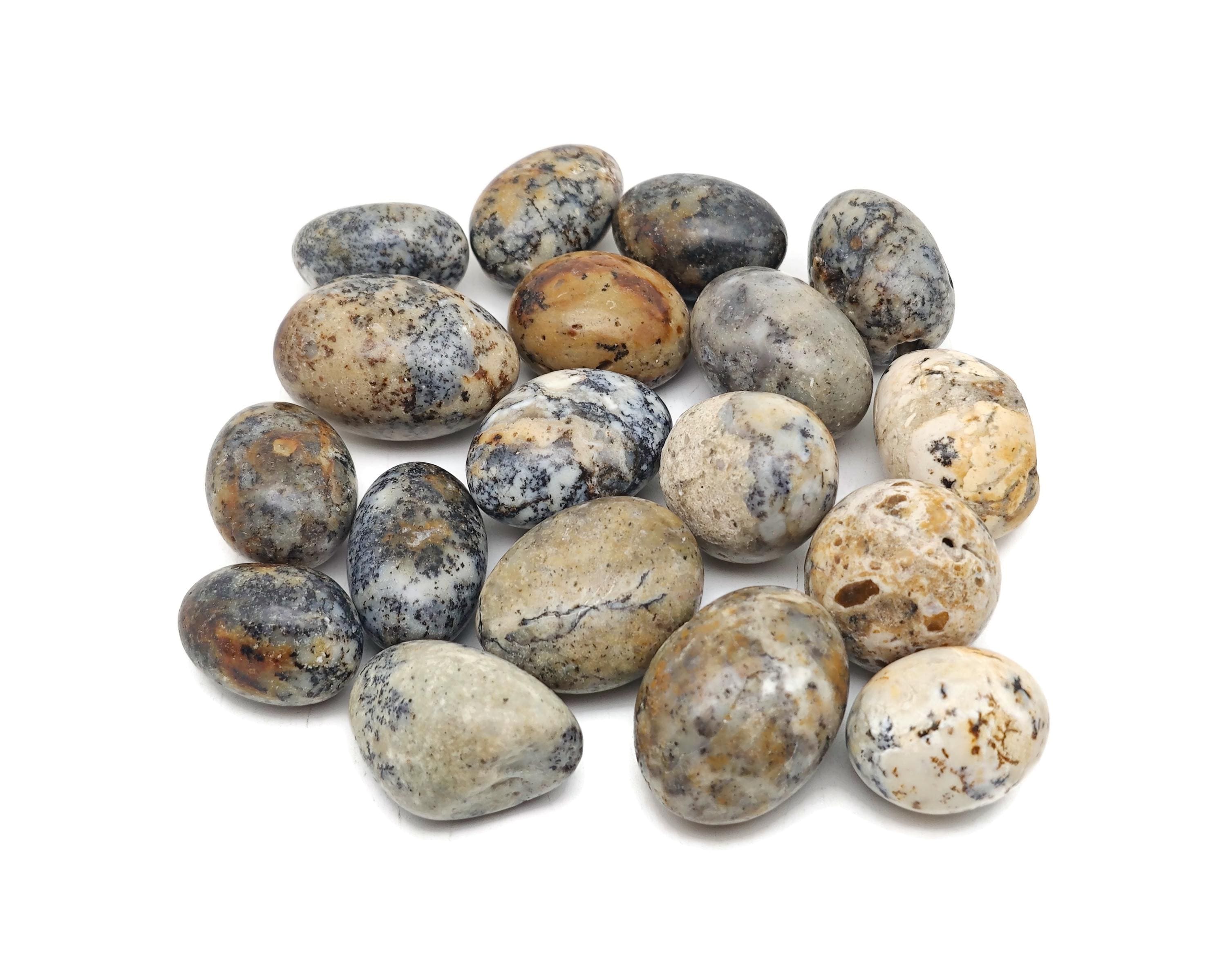 Cheetah Opal Tumbled Stone - Mexican Opal Crystals - Loose Stone - Love Opal – Healing Stones - Tu1334