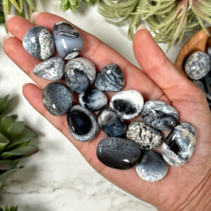 Dendritic Opal Tumble | S, L | - No. 321 (polished White Black Crystal Pocket Stone, Root Chakra, Growth)