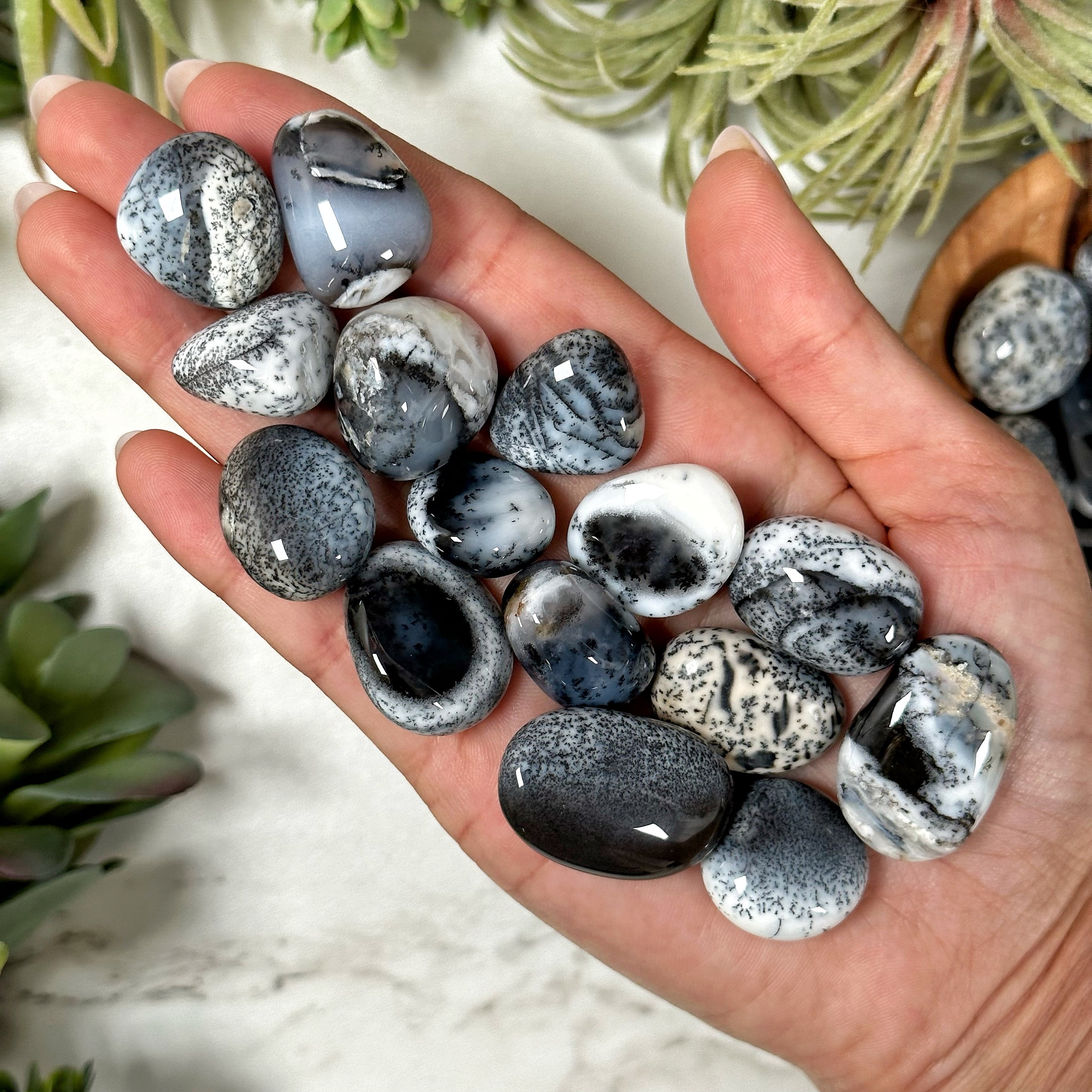 Dendritic Opal Tumble | S, L | - No. 321 (polished White Black Crystal Pocket Stone, Root Chakra, Growth) Dendritic Opal Tumble | S, L | - No. 321 (polished White Black Crystal Pocket Stone, Root Chakra, Growth)