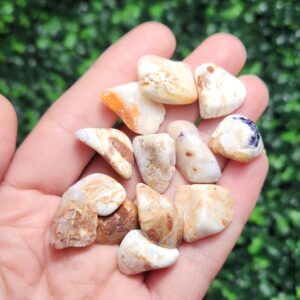 Mexican Golden Opal Crystal, Morado Opal - Tumbled Stones