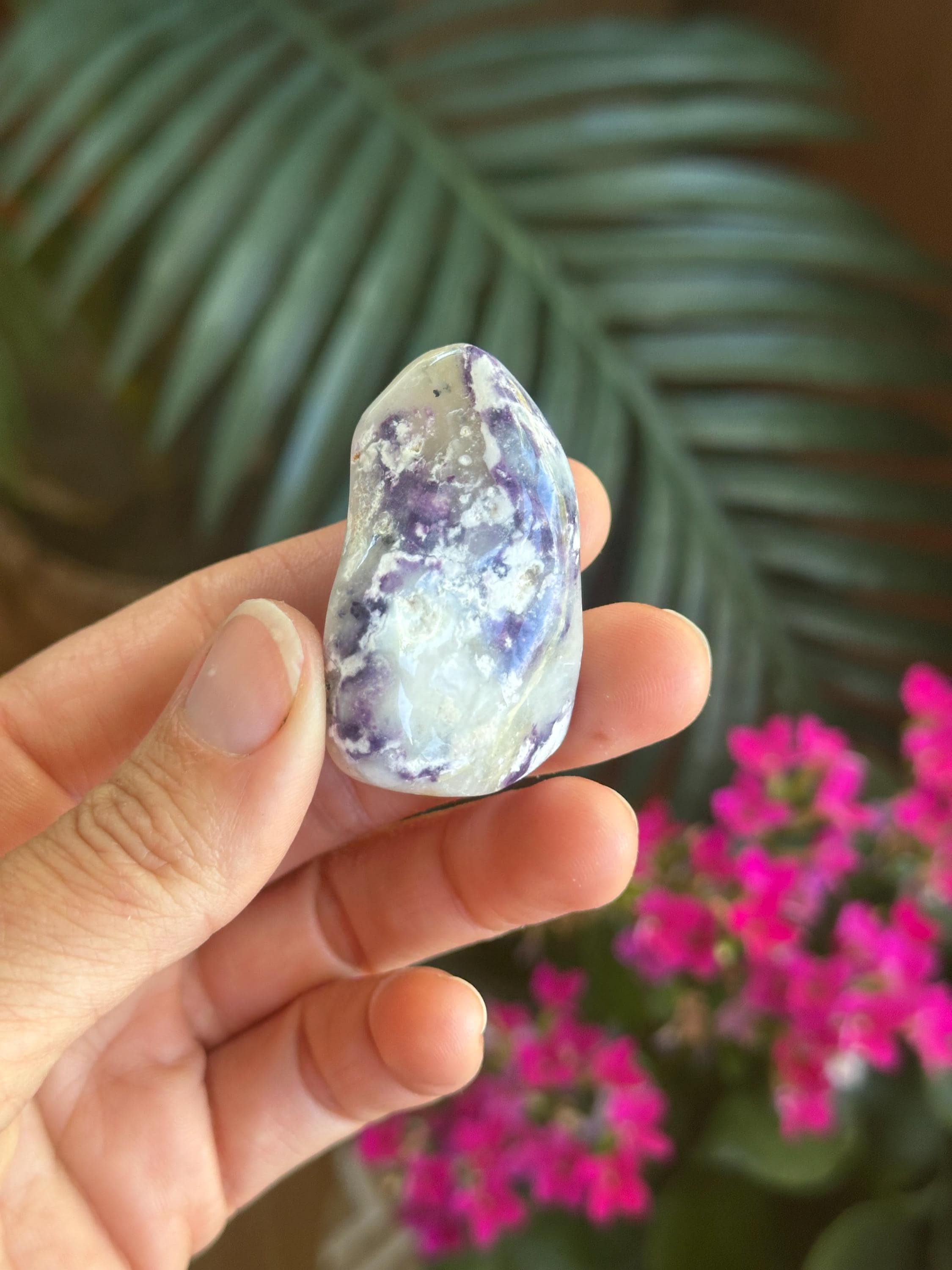 Purple Opal Tumbled Palm Stone, Morado Opal Purple Opal Tumbled Palm Stone, Morado Opal