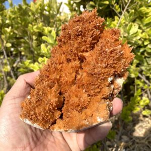 Natural Orange Stalactite Cluster/Amazing Stunning Rough Rare Orange Calcite crystalline from wenshan Meditation Energy stone/Druzy 1056g