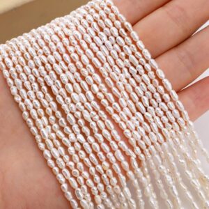 2.5-3mm Natural White Rice Pearl,full Strand,freshwater Pearl Rice Beads,loose Beading Supplies,for Jewelry Making, Xdz0012