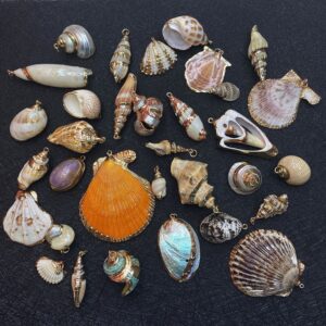Natural Shells Pearls Beads, 15-55mm Natural Shell Pears Scallop Pendants Accessories,5 Beads, 33 Options