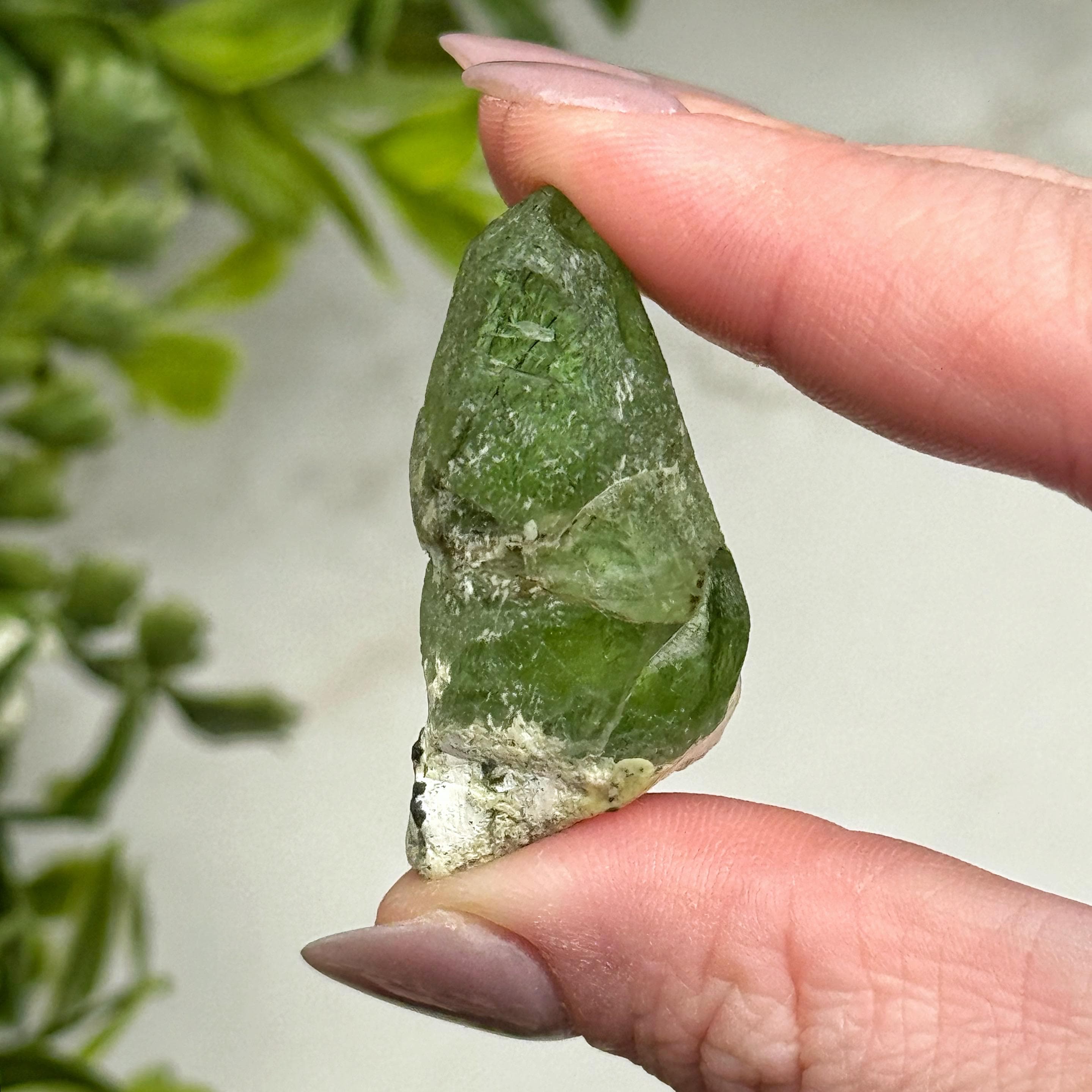 Peridot | 17g | - #10 (raw Green Crystal Specimen, Heart Chakra, Healing Stone, Love)