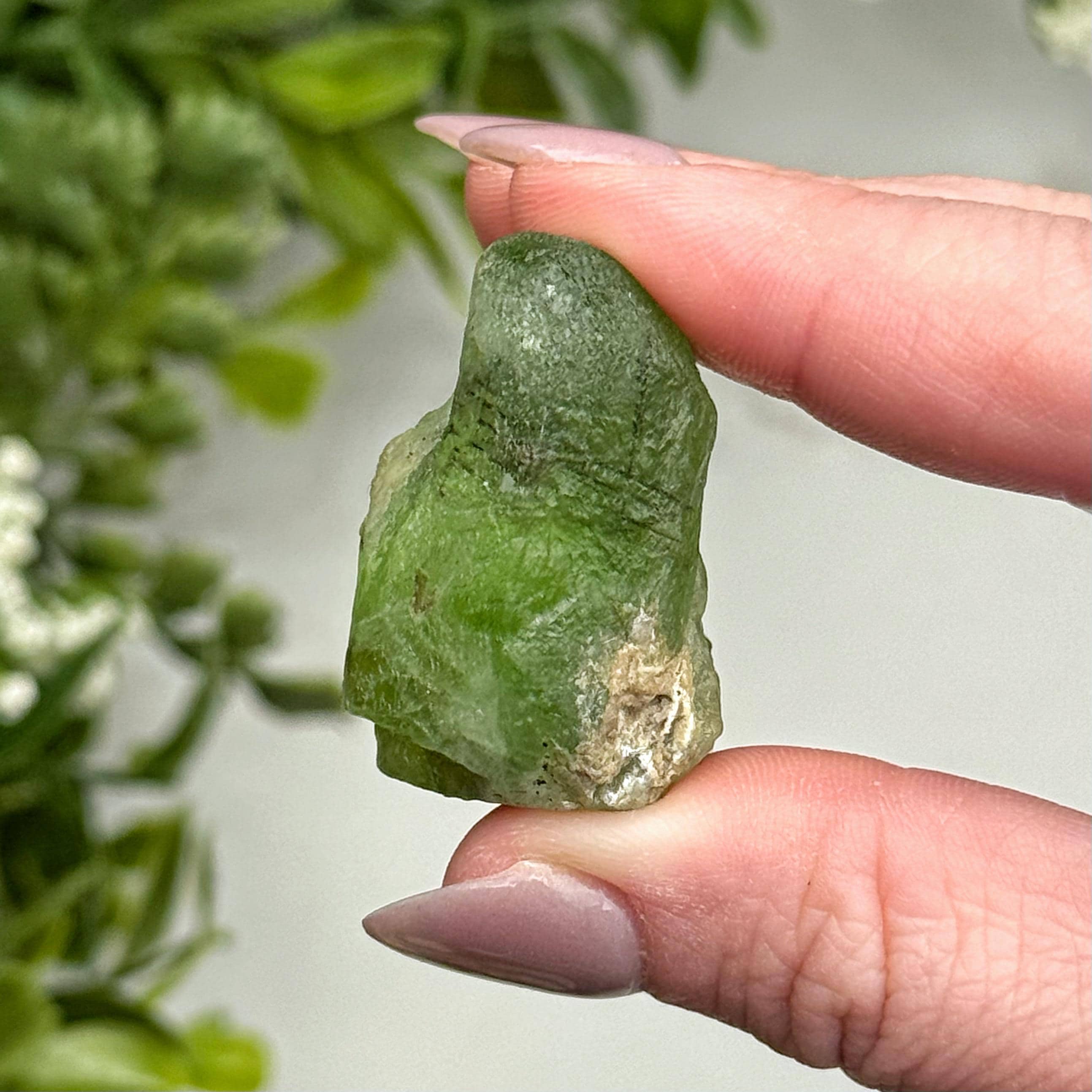 Peridot | 19g | - #8 (raw Green Crystal Specimen, Heart Chakra, Healing Stone, Love) Peridot | 19g | - #8 (raw Green Crystal Specimen, Heart Chakra, Healing Stone, Love)