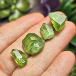 Terminated Peridot Crystal - Raw Peridot - Green Peridot Stone - Peridot Gemstone - Rough Peridot - August Birthstone - Natural Peridot Terminated Peridot Crystal - Raw Peridot - Green Peridot Stone - Peridot Gemstone - Rough Peridot - August Birthstone - Natural Peridot