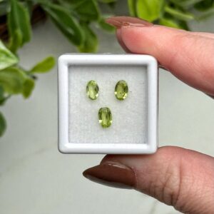 Peridot Gem Set , 3 Pieces , - No. 294 (polished Green Crystal Jewelry, Heart Chakra, Love) Peridot Gem Set , 3 Pieces , - No. 294 (polished Green Crystal Jewelry, Heart Chakra, Love)