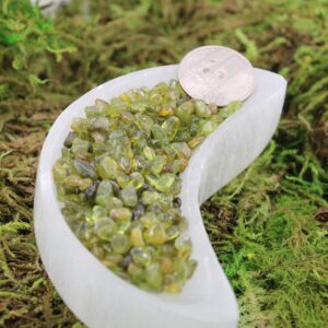 Peridot Polished And Tumbled Xsmall Pieces 2 Grams Per Bag Peridot Polished And Tumbled Xsmall Pieces 2 Grams Per Bag