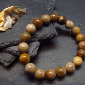 Petrified Wood Genuine Bracelet ~ 7 Inches ~ 10mm Round Beads