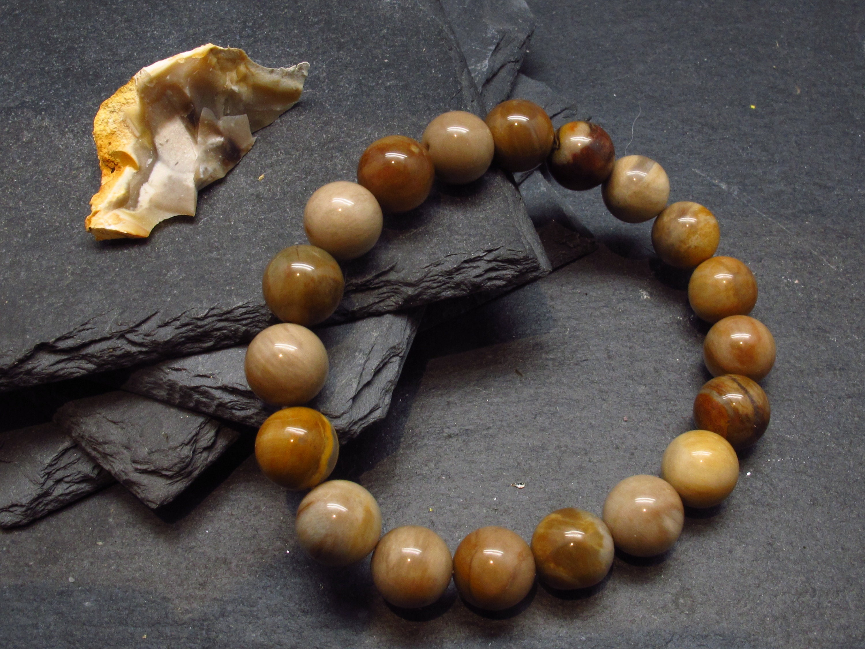 Petrified Wood Genuine Bracelet ~ 7 Inches ~ 10mm Round Beads