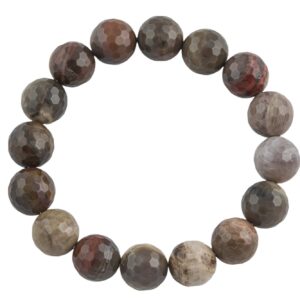 Natural Petrified Wood Faceted Round Size 10mm and 12mm- Handmade In USA- approx. 7-7.5" Bracelet Crystal Bracelet- LGS