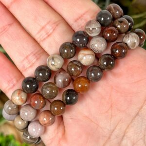 Petrified Wood Bracelet | 8mm | - No. 614 (polished Brown & Red Crystal Jewelry, Root Chakra, Grounding)