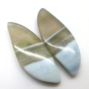 16.195 Carats - Owyhee Opal Petrified Wood Cabochon - Opalized - Pair Of Cabochons To Make Earrings - Handmade Lapidary